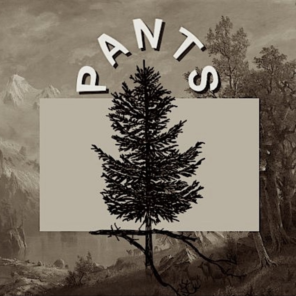 P A N T S